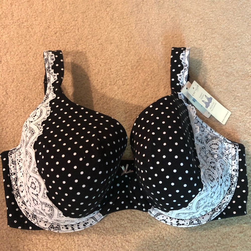 NWT Cacique Bra- 38DD